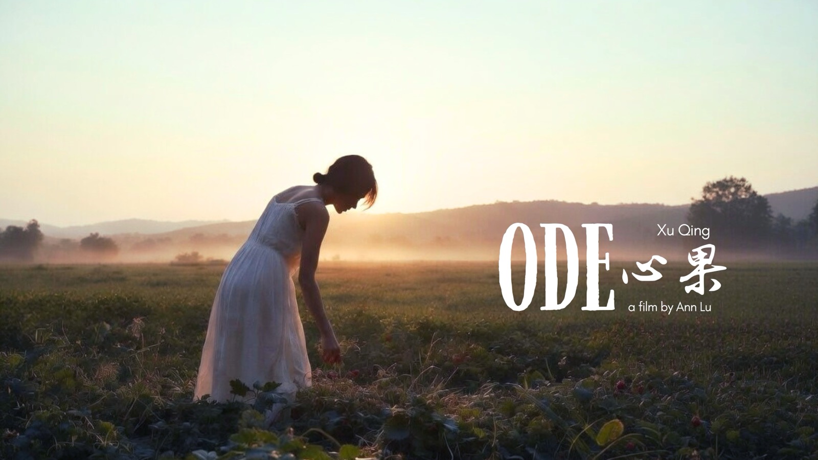 ODE still 13
